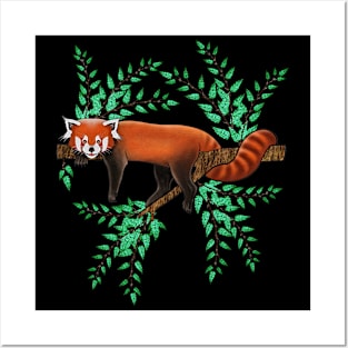 Red panda red panda lover cute red panda Posters and Art